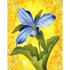 Натюрморт: голубой цветок, выполненный маслом на холсте